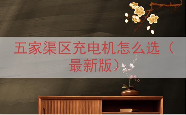 五家渠区充电机怎么选（最新版）